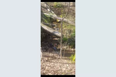 7102 Hickory Trail, Jasper, GA 30143 - Photo 4