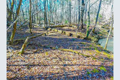 00 Woodland Lane, Dahlonega, GA 30533 - Photo 6