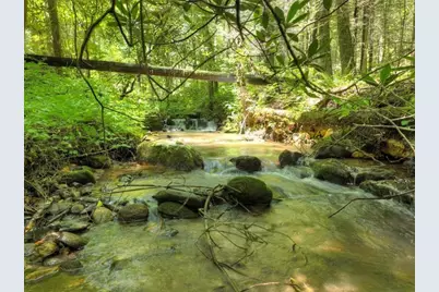 1048 Laurel Trail, Ellijay, GA 30536 - Photo 52