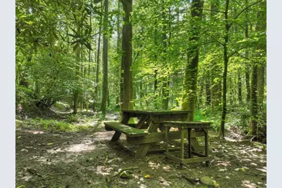 1048 Laurel Trail, Ellijay, GA 30536 - Photo 50