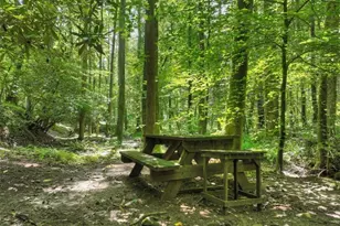 1048 Laurel Trail, Ellijay, GA 30536 - Photo 50