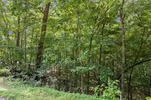 0 Kings Rd, Gainesville, GA 30506 - Photo 6