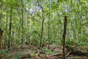 0 Kings Rd, Gainesville, GA 30506 - Photo 16