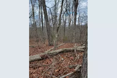 0 Harris Creek Drive, Ellijay, GA 30540 - Photo 6