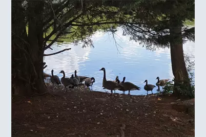 532 Autumn Shore Drive, Lawrenceville, GA 30044 - Photo 56