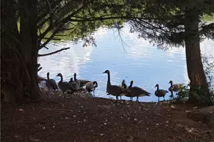 532 Autumn Shore Dr, Lawrenceville, GA 30044 - Photo 56