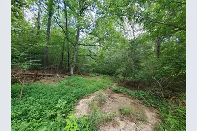 385 McClain Mountain Road, Jasper, GA 30143 - Photo 54