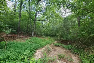 385 McClain Mountain Rd, Jasper, GA 30143 - Photo 54