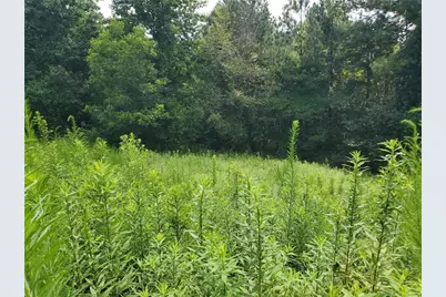 385 McClain Mountain Road, Jasper, GA 30143 - Photo 48