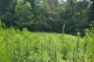 385 McClain Mountain Rd, Jasper, GA 30143 - Photo 48