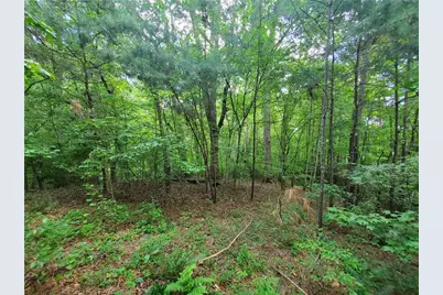 385 McClain Mountain Road, Jasper, GA 30143 - Photo 56