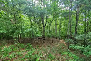 385 McClain Mountain Rd, Jasper, GA 30143 - Photo 56