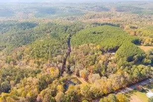 2451 Macedonia Rd, Franklin, GA 30217 - Photo 30