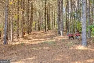 2451 Macedonia Rd, Franklin, GA 30217 - Photo 22