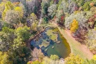 2451 Macedonia Rd, Franklin, GA 30217 - Photo 28