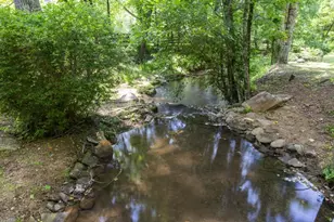 9883 Warwoman Rd, Clayton, GA 30525 - Photo 60