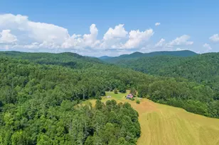 9883 Warwoman Rd, Clayton, GA 30525 - Photo 96