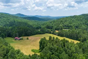 9883 Warwoman Rd, Clayton, GA 30525 - Photo 6