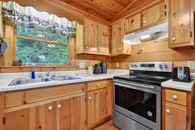 156 Dupont Drive, Blue Ridge, GA 30513 - Photo 12