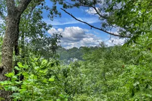 156 Dupont Drive, Blue Ridge, GA 30513 - Photo 20