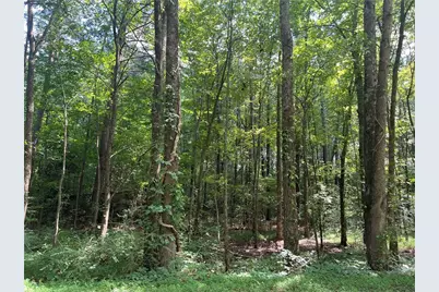 0 Highway 411, Rydal, GA 30171 - Photo 6