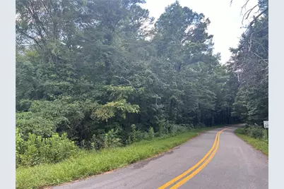 0 Highway 411, Rydal, GA 30171 - Photo 2