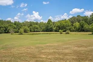 441 Pumpkinvine Rd, Acworth, GA 30101 - Photo 46