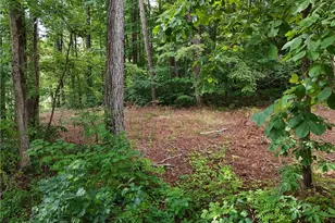 115 Twin Mountain Lake Cir, Talking Rock, GA 30175 - Photo 38