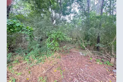 00 Lewis Road, Cartersville, GA 30121 - Photo 4