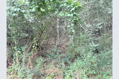 00 Lewis Road, Cartersville, GA 30121 - Photo 6