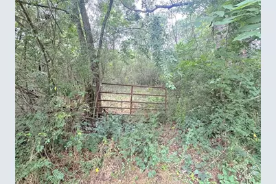 00 Lewis Road, Cartersville, GA 30121 - Photo 2