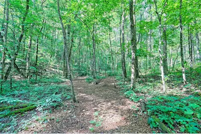 876 Whitetail Trail, Clayton, GA 30525 - Photo 82