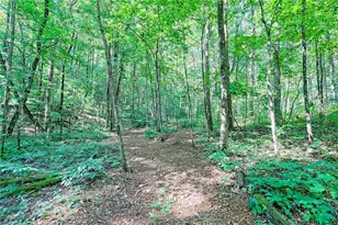 876 Whitetail Trl, Clayton, GA 30525 - Photo 82