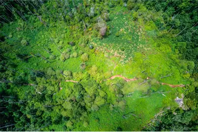 1345 Chandler Road, Lawrenceville, GA 30045 - Photo 88