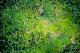 1345 Chandler Rd, Lawrenceville, GA 30045 - Photo 88