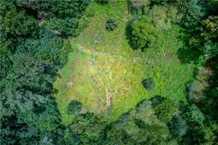 1345 Chandler Rd, Lawrenceville, GA 30045 - Photo 90