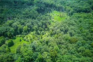 1345 Chandler Rd, Lawrenceville, GA 30045 - Photo 84