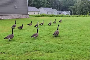 3856 Lockaby Way, Lawrenceville, GA 30044 - Photo 4