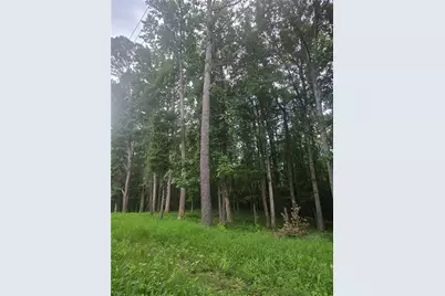 6147 Little Ridge Road, Acworth, GA 30102 - Photo 4