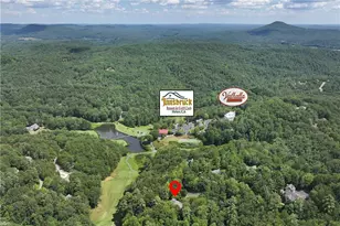 276 Zeppelin Strasse, Helen, GA 30545 - Photo 50