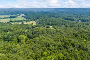 1044 Hutchings Mountain Rd, Rockmart, GA 30153 - Photo 136