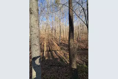 0 Gold View Drive, Dahlonega, GA 30533 - Photo 12