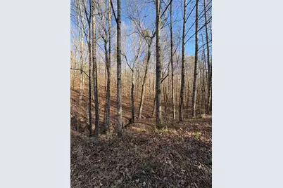 0 Gold View Drive, Dahlonega, GA 30533 - Photo 8