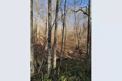 0 Gold View Drive, Dahlonega, GA 30533 - Photo 14