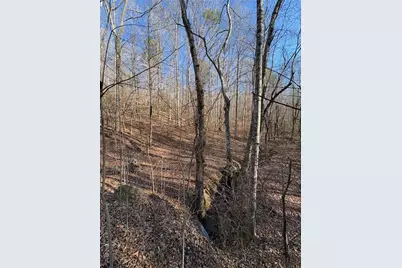 0 Gold View Drive, Dahlonega, GA 30533 - Photo 6