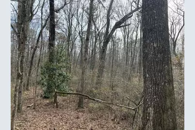 2994 Mt Zion Rd #3, Carrollton, GA 30117 - Photo 1