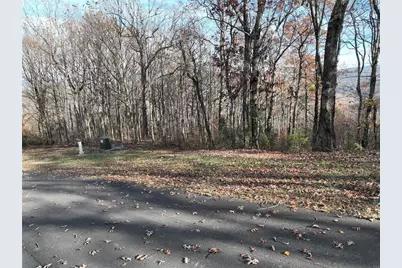 274 Andes Ridge, Ellijay, GA 30536 - Photo 42