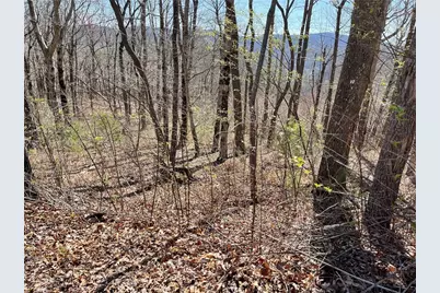 274 Andes Ridge, Ellijay, GA 30536 - Photo 48