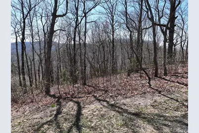 274 Andes Ridge, Ellijay, GA 30536 - Photo 32