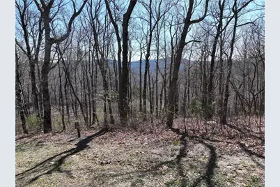 274 Andes Ridge, Ellijay, GA 30536 - Photo 30